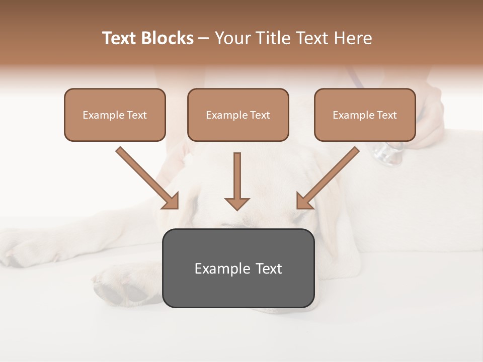 Cute Work Specialist PowerPoint Template