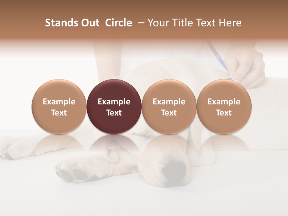 Cute Work Specialist PowerPoint Template