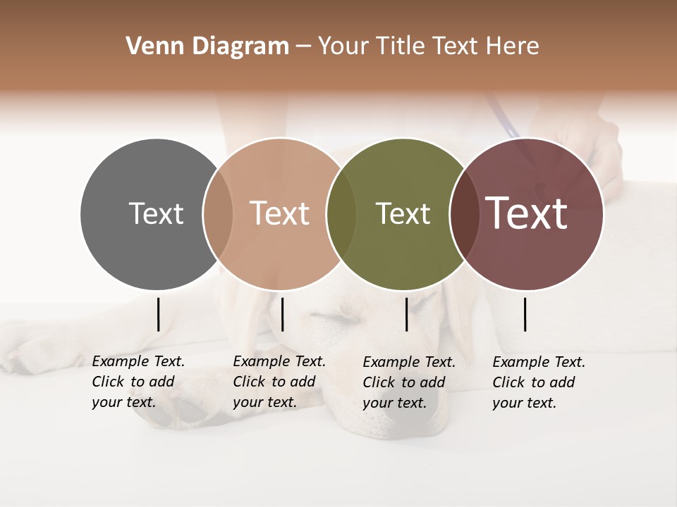 Cute Work Specialist PowerPoint Template