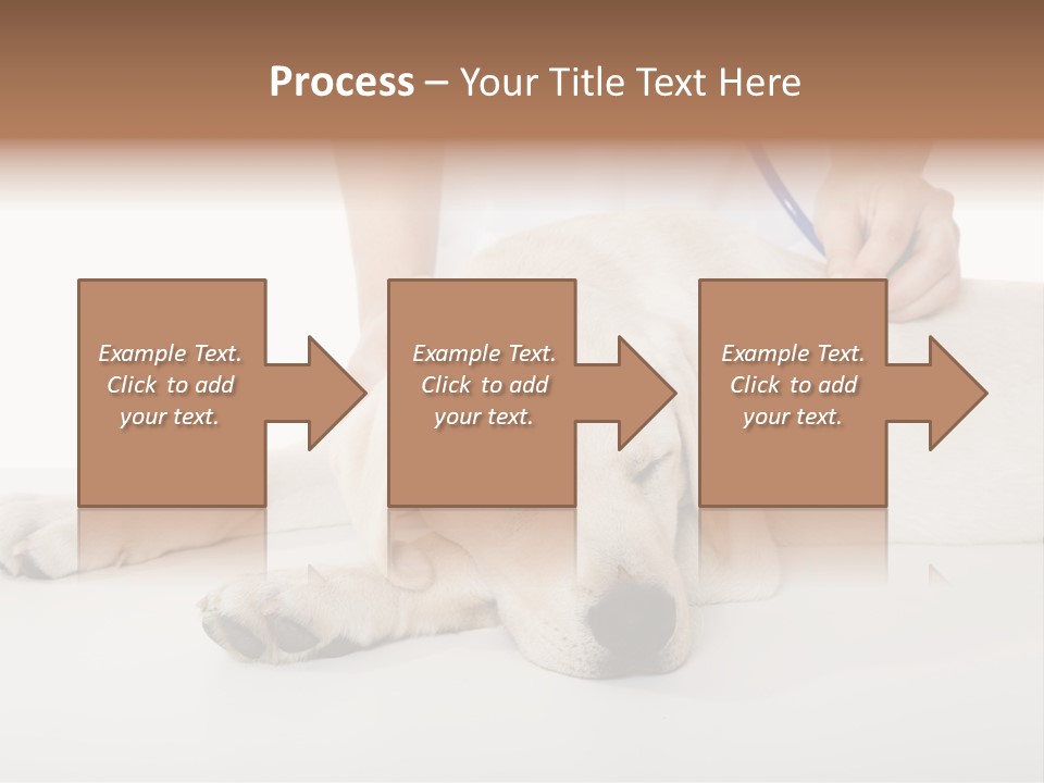 Cute Work Specialist PowerPoint Template