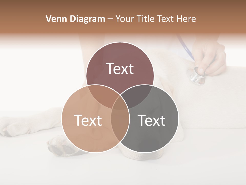 Cute Work Specialist PowerPoint Template