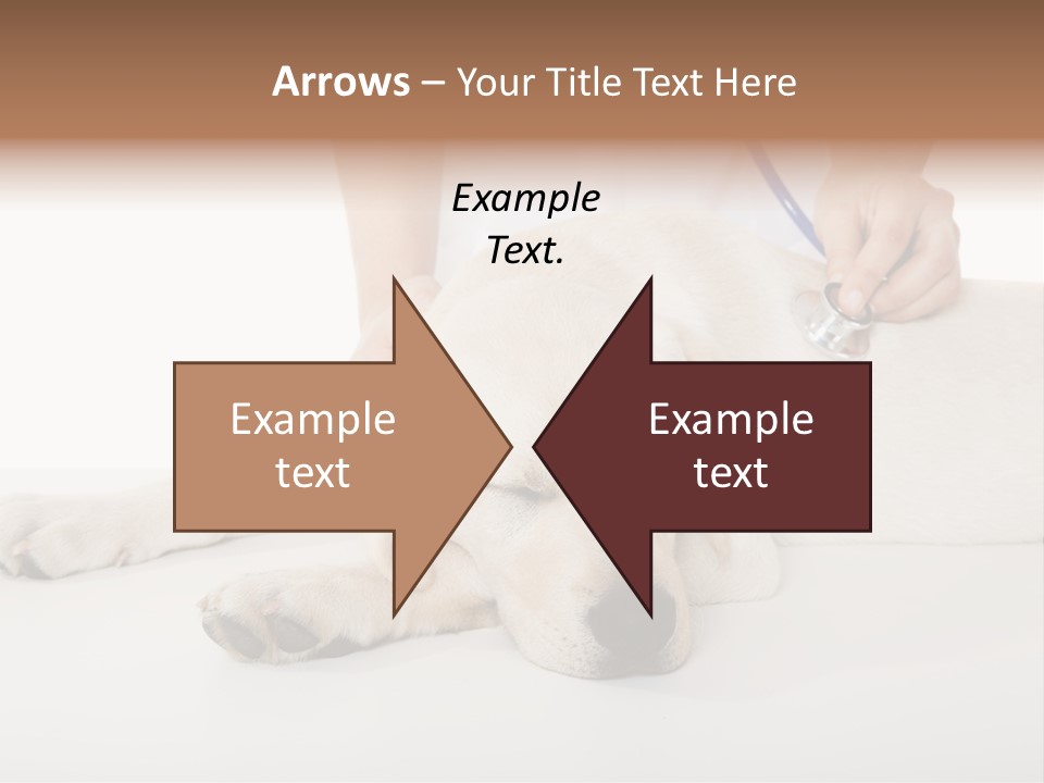 Cute Work Specialist PowerPoint Template