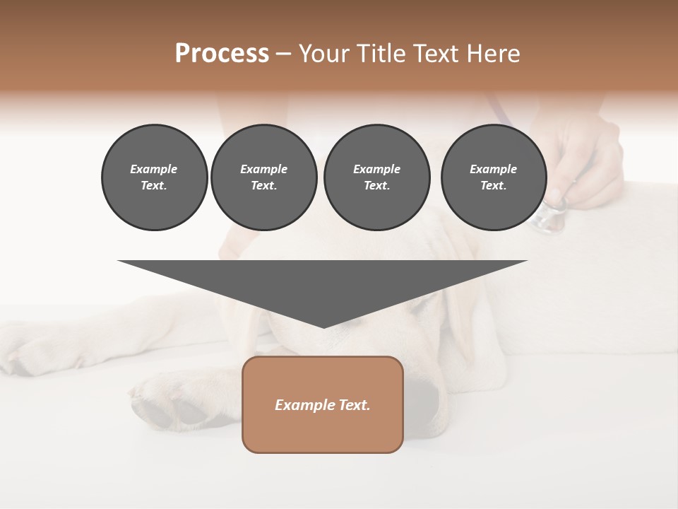 Cute Work Specialist PowerPoint Template