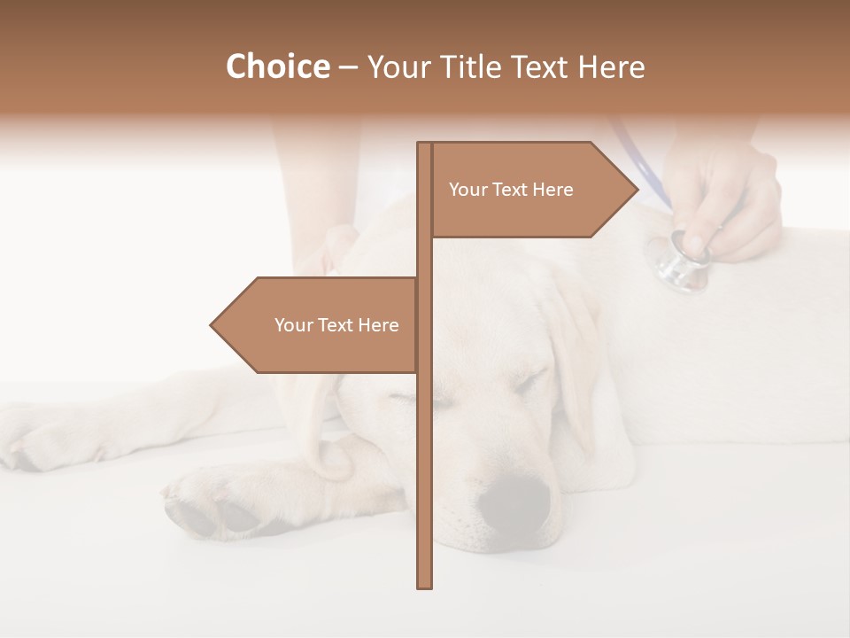 Cute Work Specialist PowerPoint Template