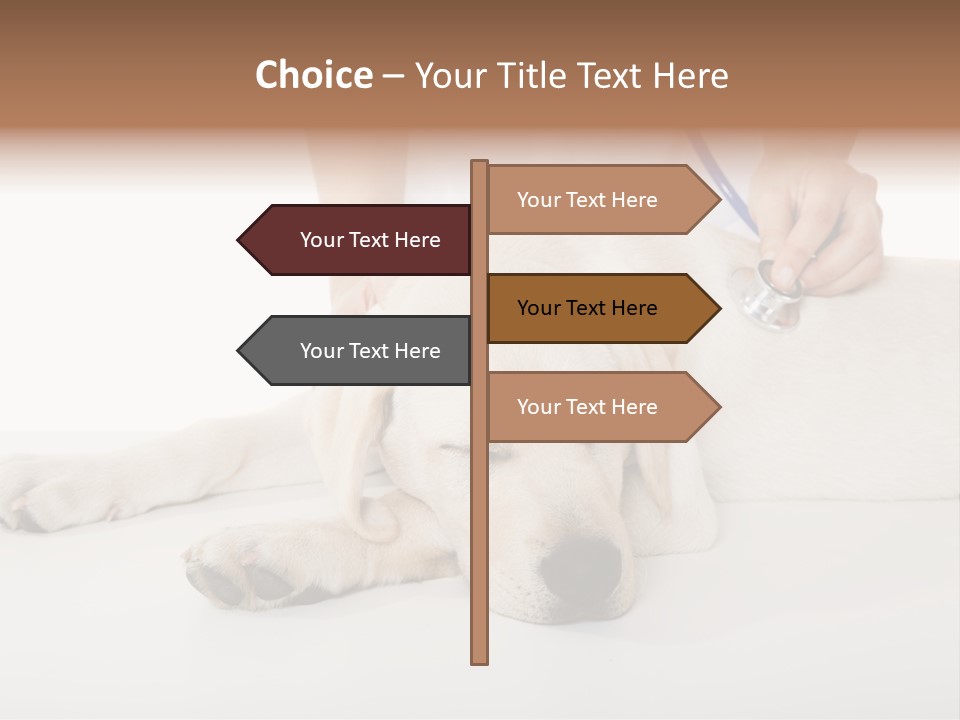 Cute Work Specialist PowerPoint Template