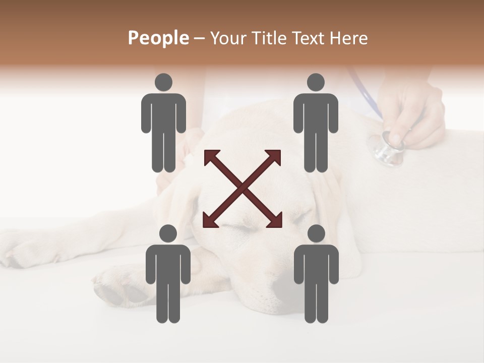 Cute Work Specialist PowerPoint Template