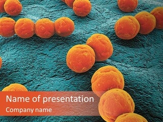 Illness Biology Maco PowerPoint Template