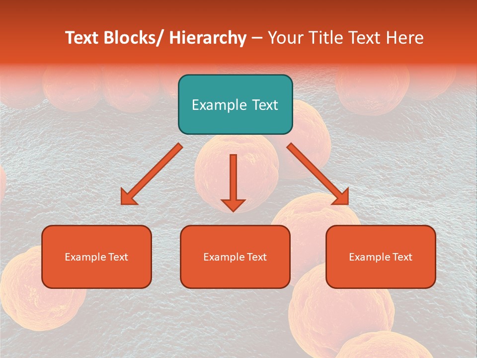 Illness Biology Maco PowerPoint Template