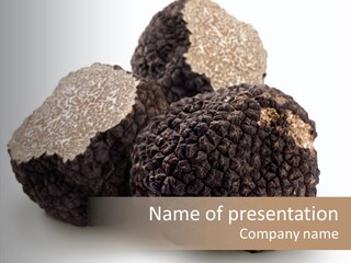 Fungus Edible Isolated PowerPoint Template
