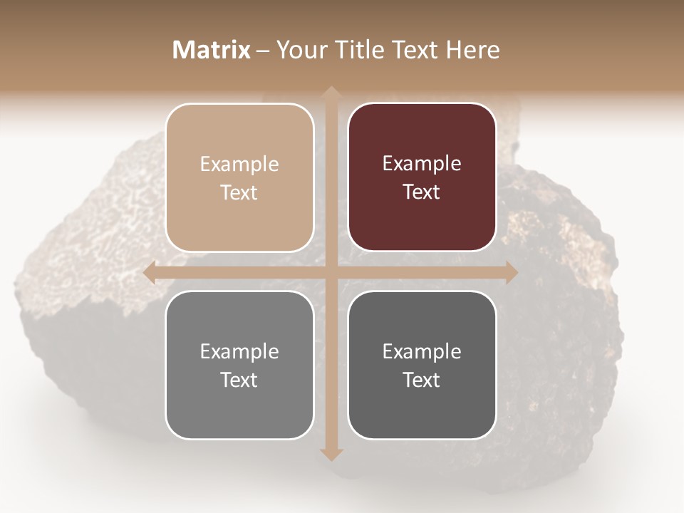 Fungus Edible Isolated PowerPoint Template