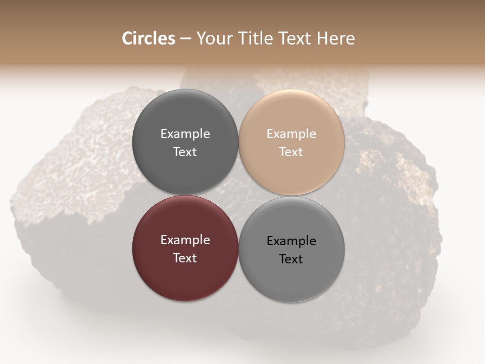 Fungus Edible Isolated PowerPoint Template