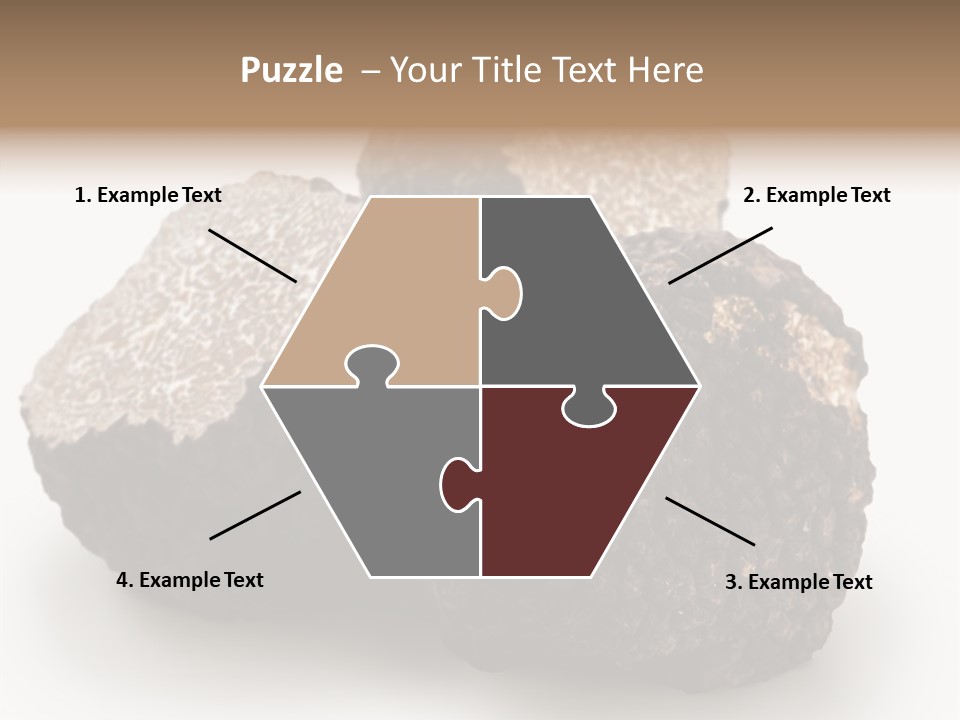 Fungus Edible Isolated PowerPoint Template