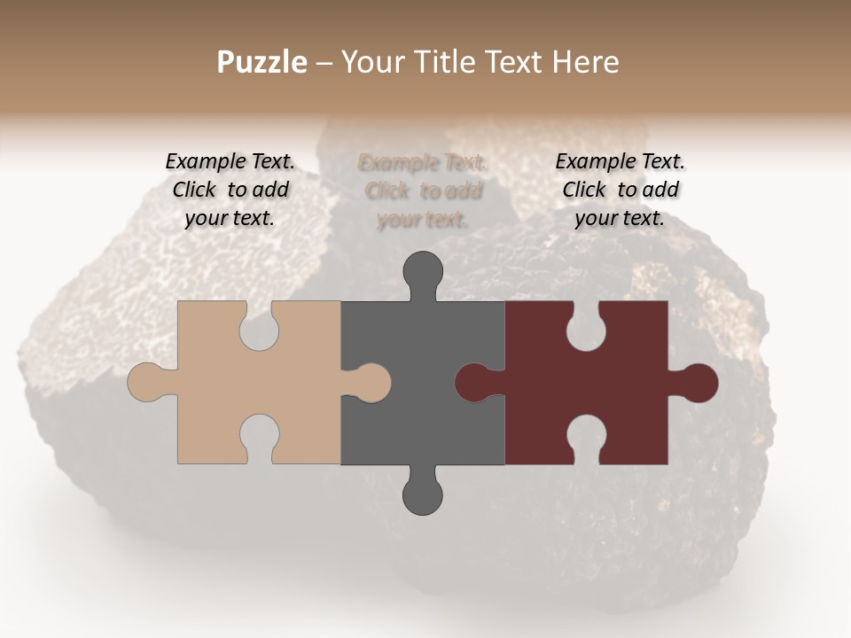 Fungus Edible Isolated PowerPoint Template