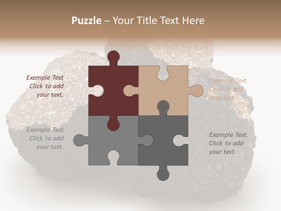 Fungus Edible Isolated PowerPoint Template