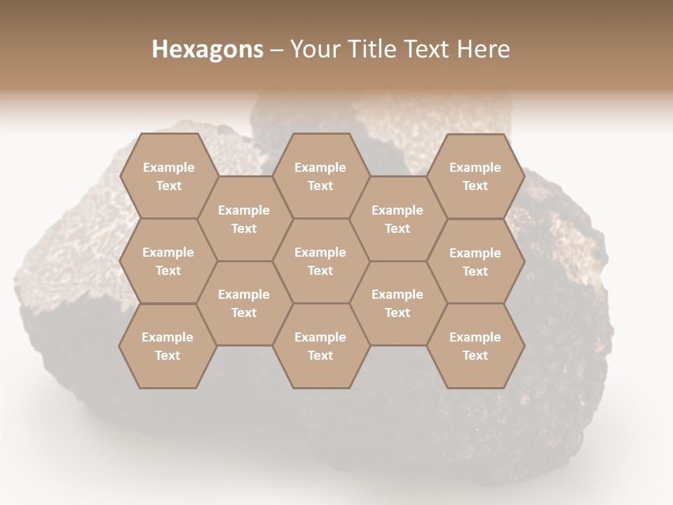 Fungus Edible Isolated PowerPoint Template