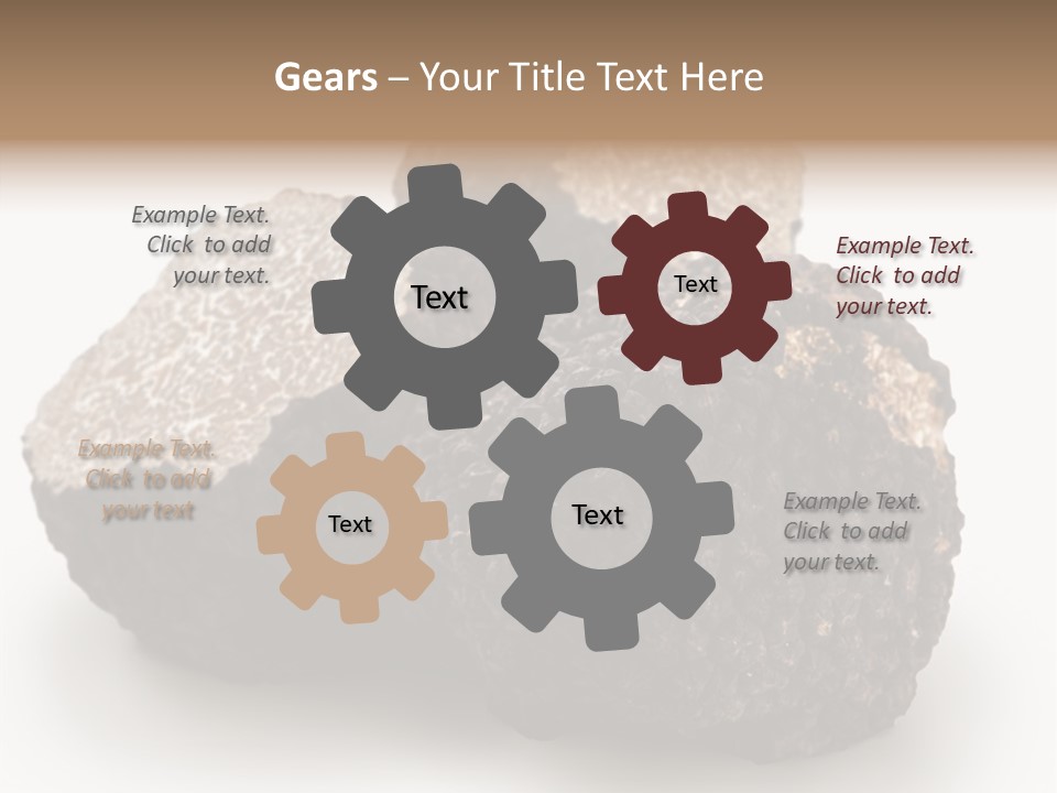 Fungus Edible Isolated PowerPoint Template
