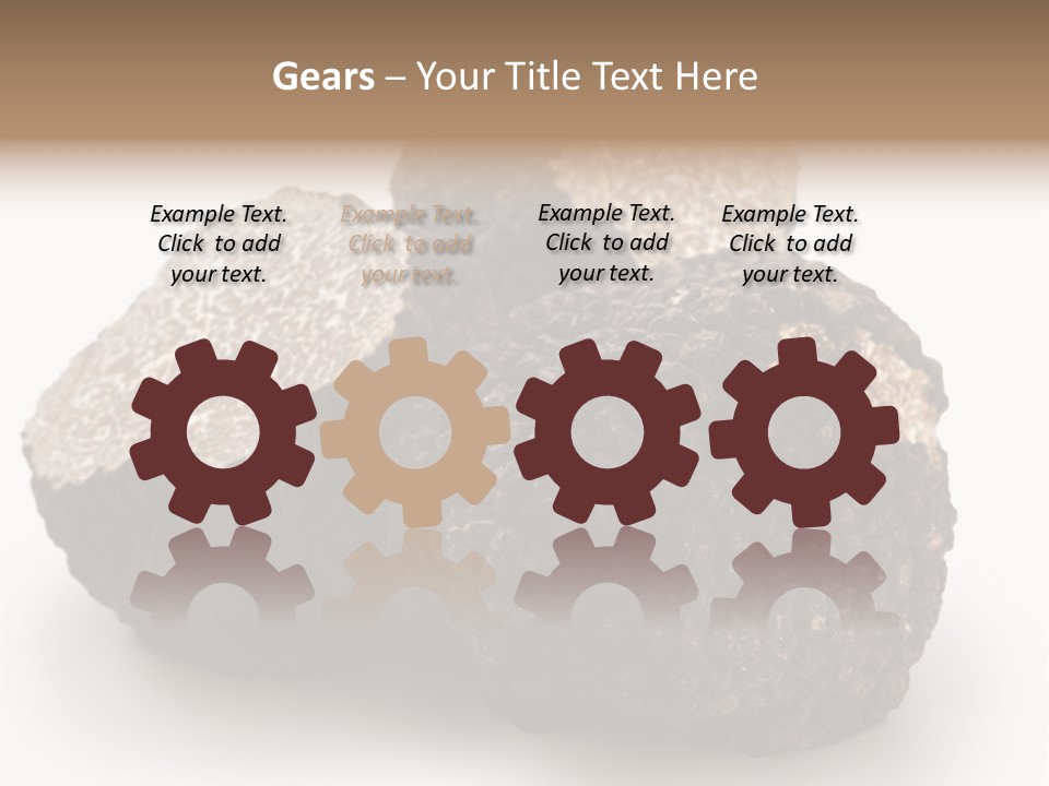 Fungus Edible Isolated PowerPoint Template