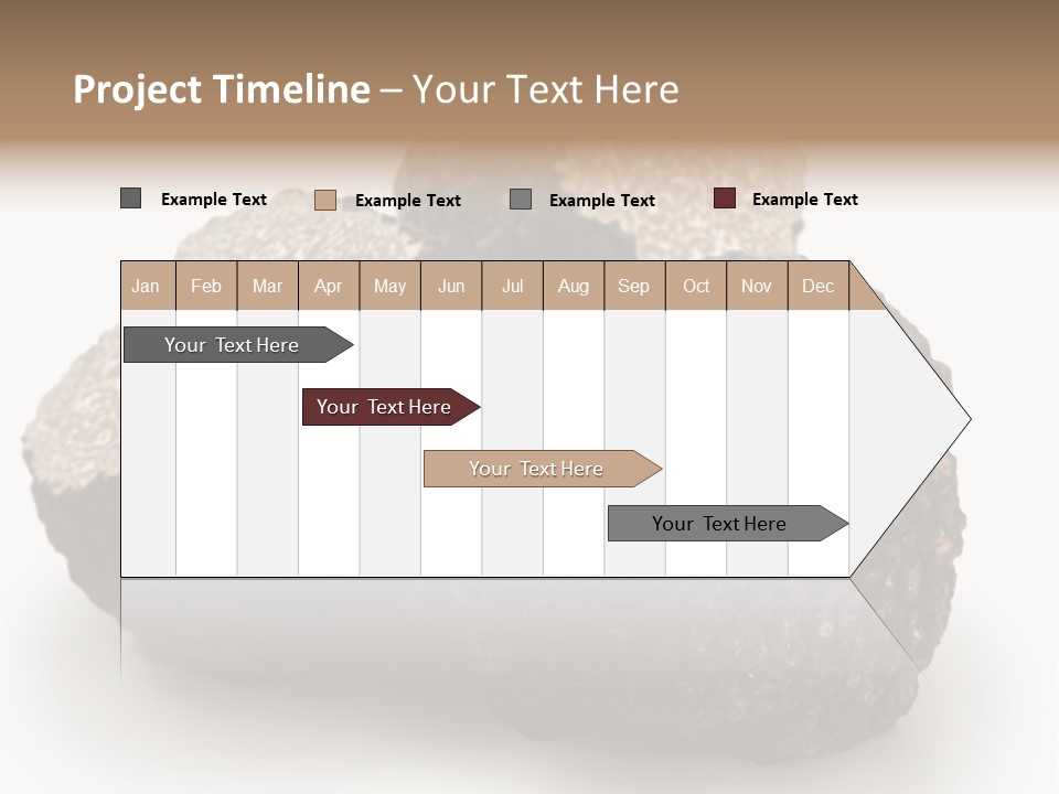 Fungus Edible Isolated PowerPoint Template