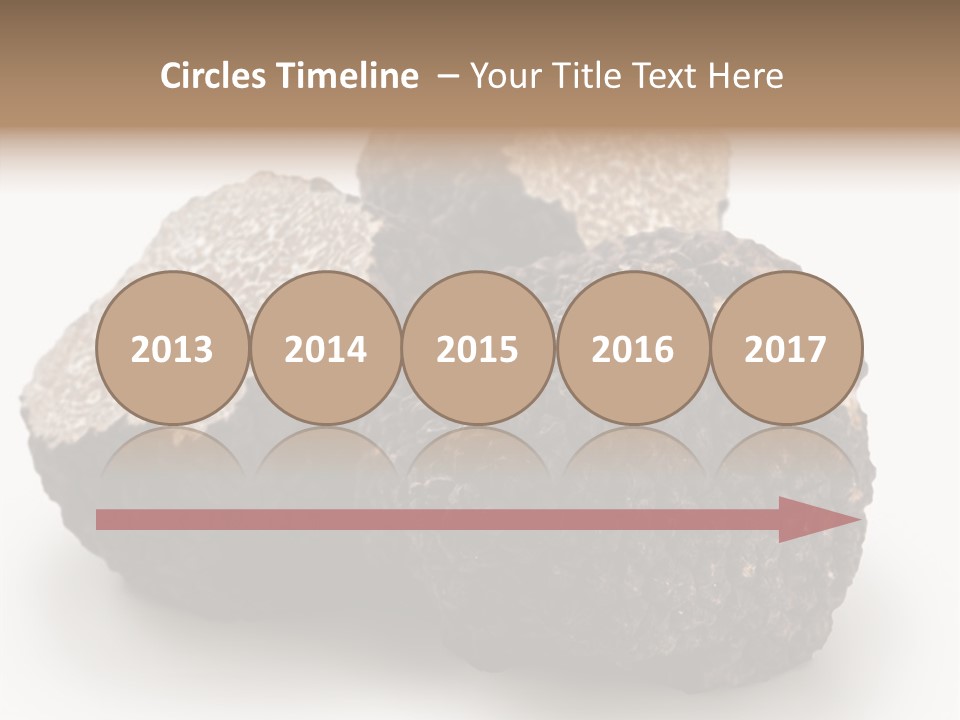 Fungus Edible Isolated PowerPoint Template