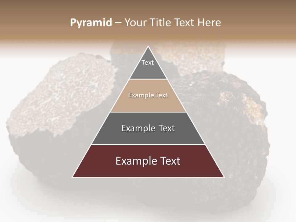 Fungus Edible Isolated PowerPoint Template