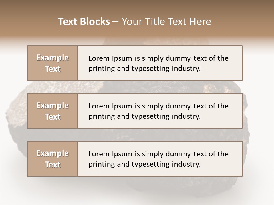 Fungus Edible Isolated PowerPoint Template