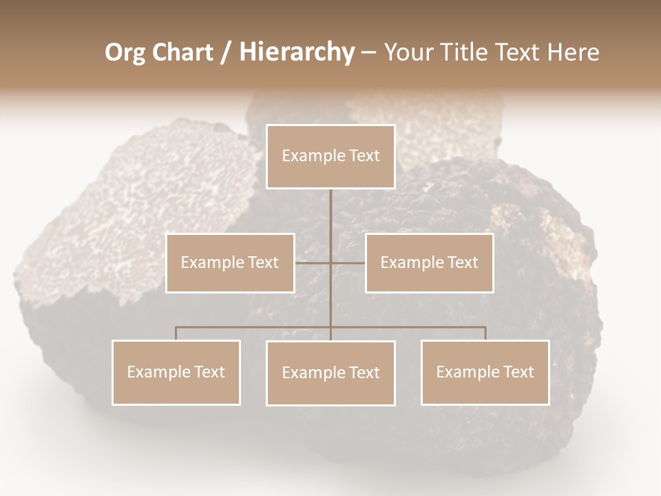 Fungus Edible Isolated PowerPoint Template