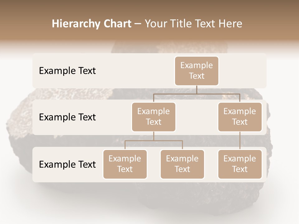 Fungus Edible Isolated PowerPoint Template