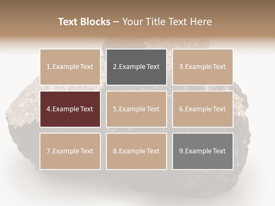 Fungus Edible Isolated PowerPoint Template