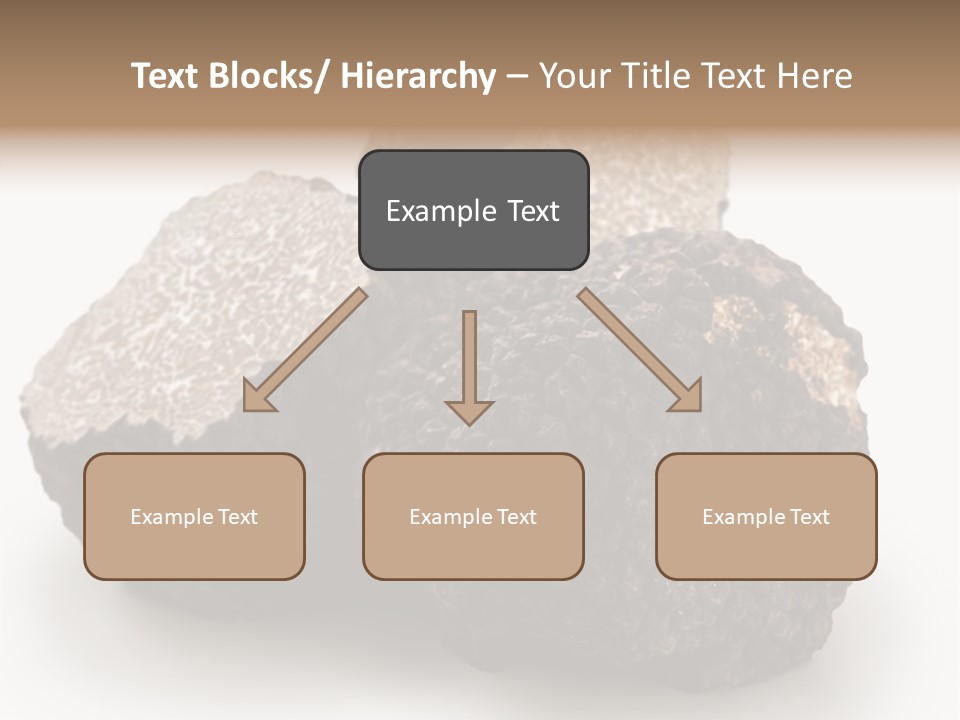 Fungus Edible Isolated PowerPoint Template
