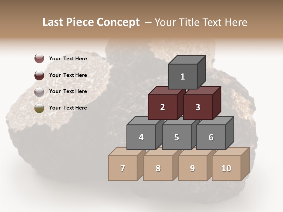 Fungus Edible Isolated PowerPoint Template