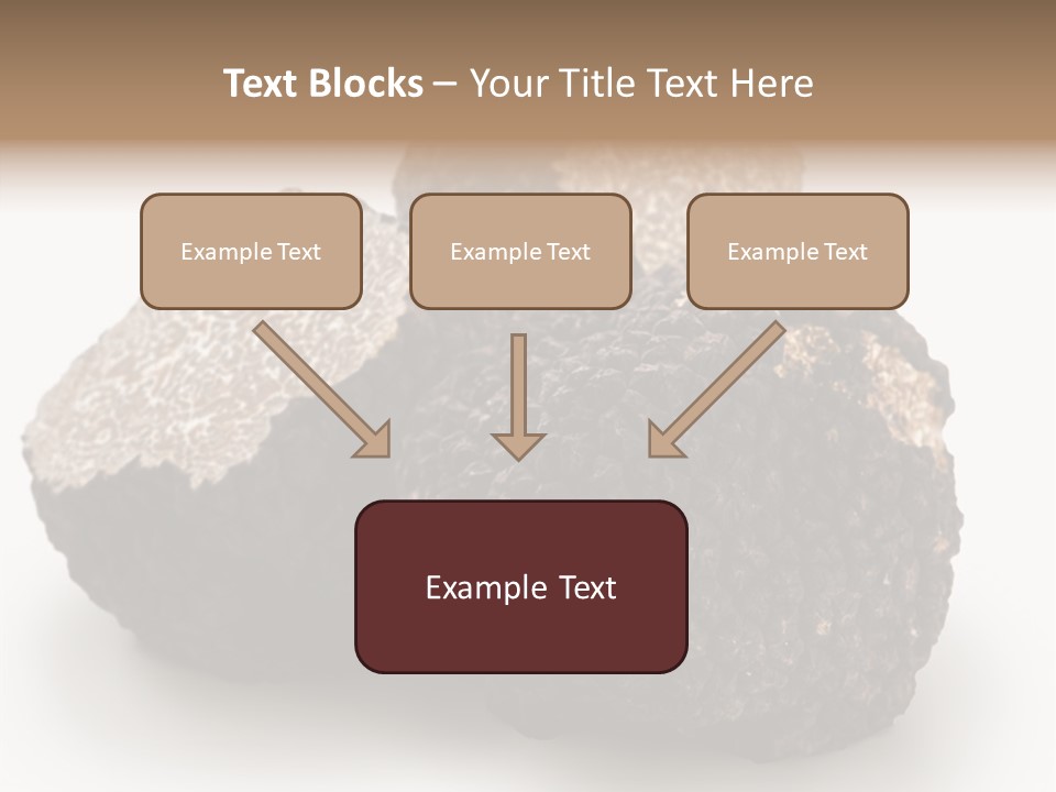 Fungus Edible Isolated PowerPoint Template