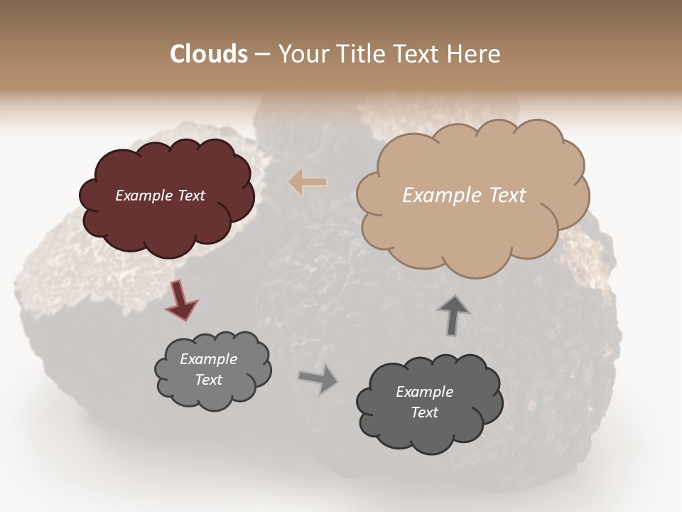 Fungus Edible Isolated PowerPoint Template