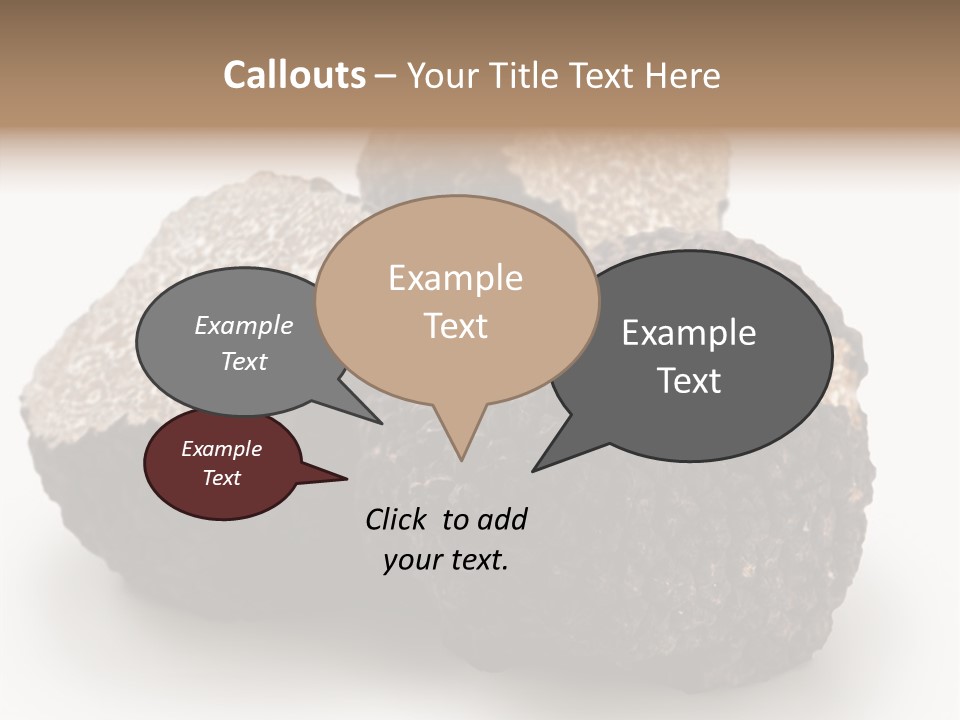 Fungus Edible Isolated PowerPoint Template