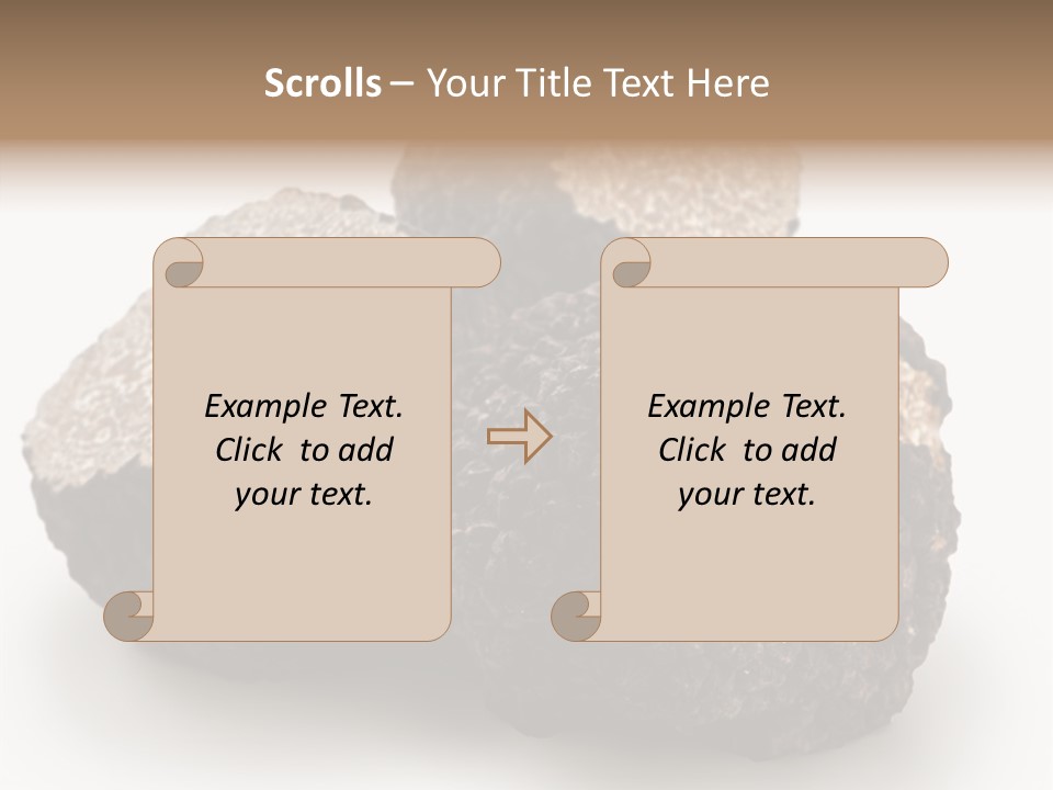 Fungus Edible Isolated PowerPoint Template