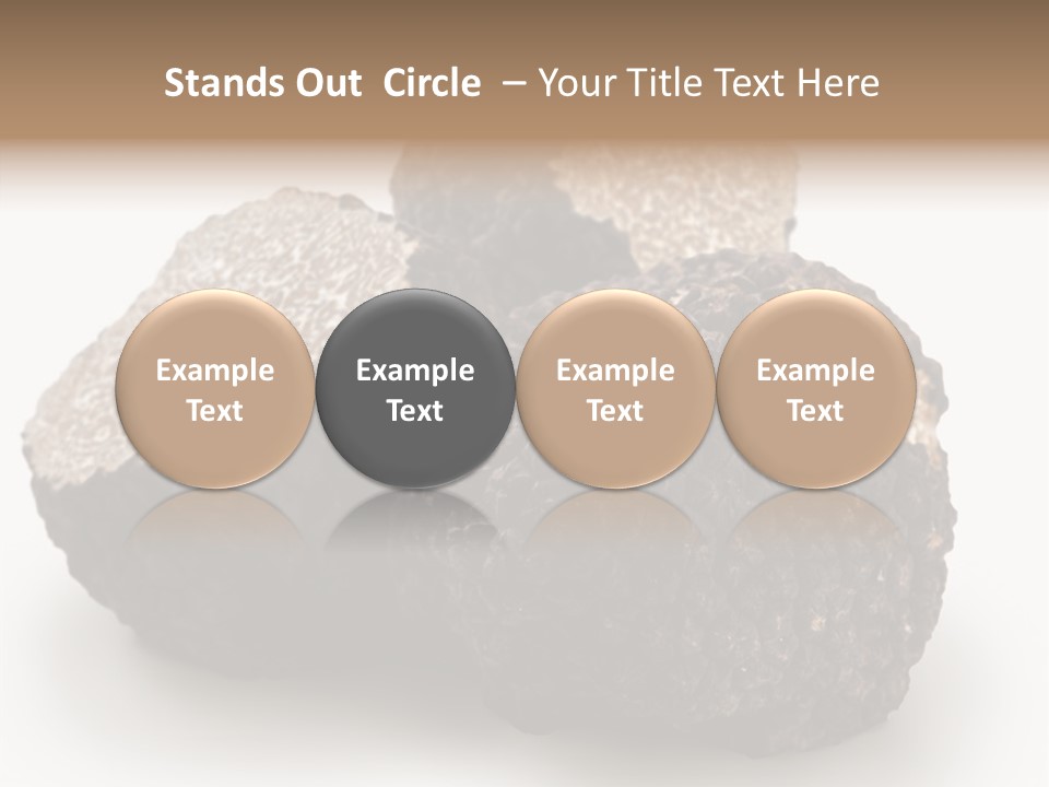 Fungus Edible Isolated PowerPoint Template