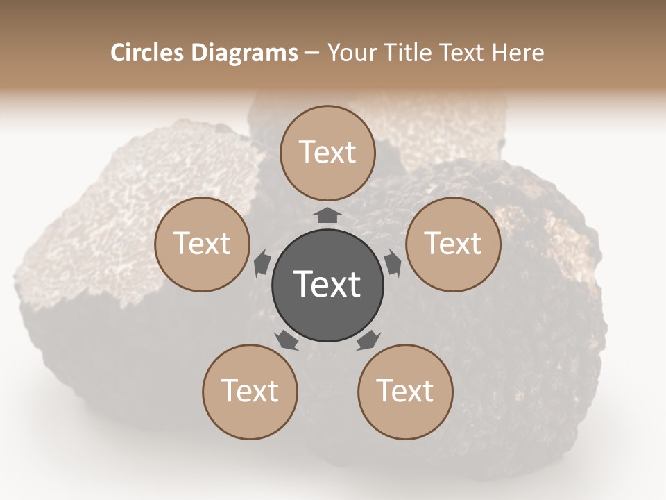 Fungus Edible Isolated PowerPoint Template