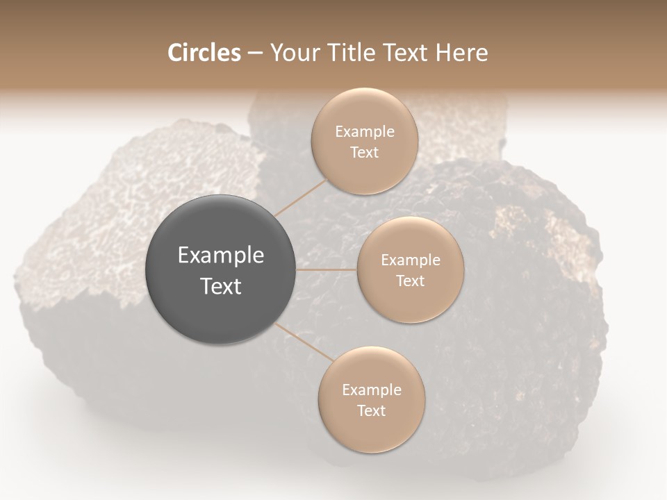 Fungus Edible Isolated PowerPoint Template