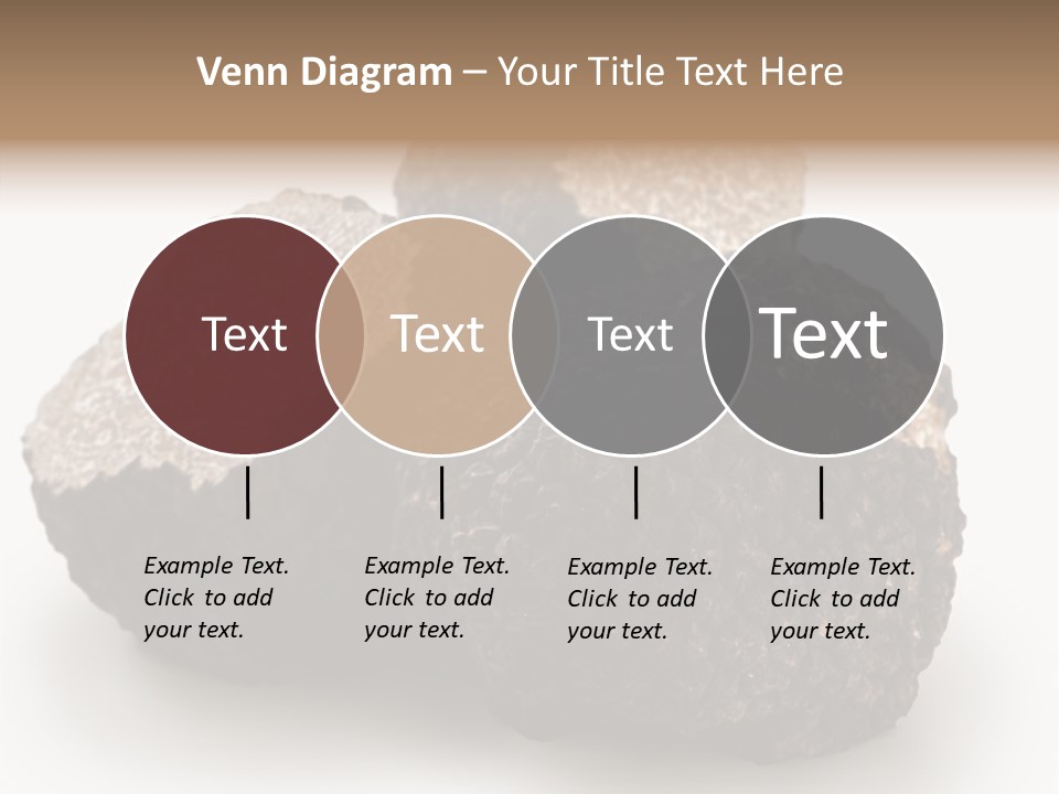 Fungus Edible Isolated PowerPoint Template