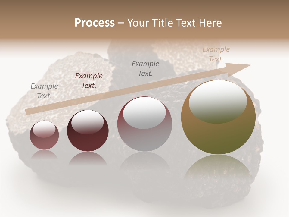 Fungus Edible Isolated PowerPoint Template