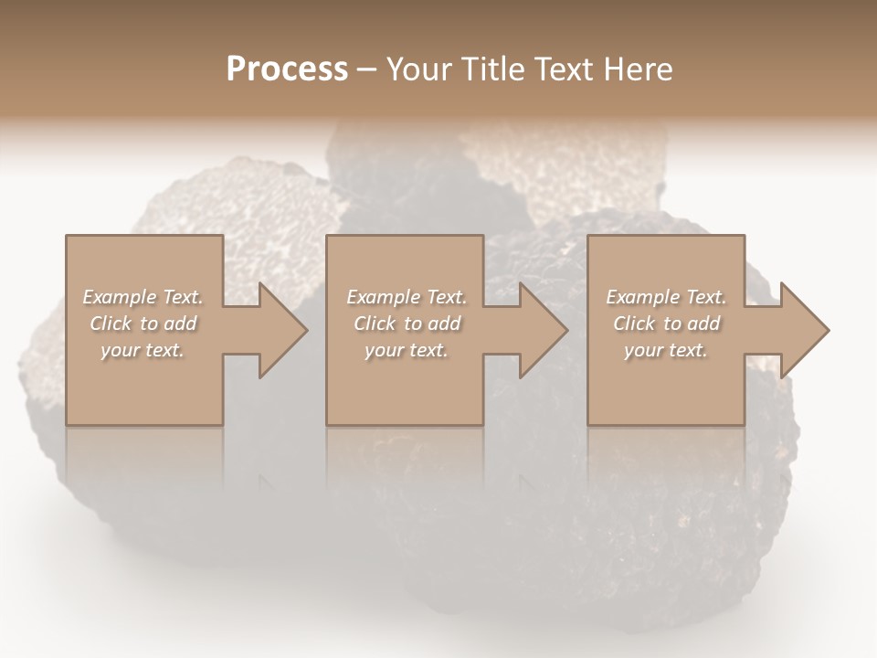 Fungus Edible Isolated PowerPoint Template