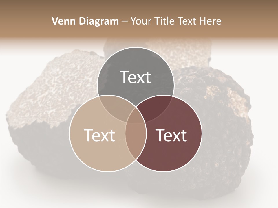 Fungus Edible Isolated PowerPoint Template