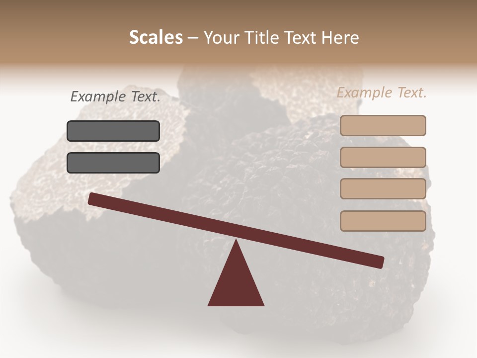 Fungus Edible Isolated PowerPoint Template