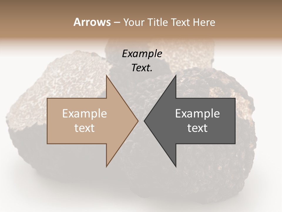 Fungus Edible Isolated PowerPoint Template