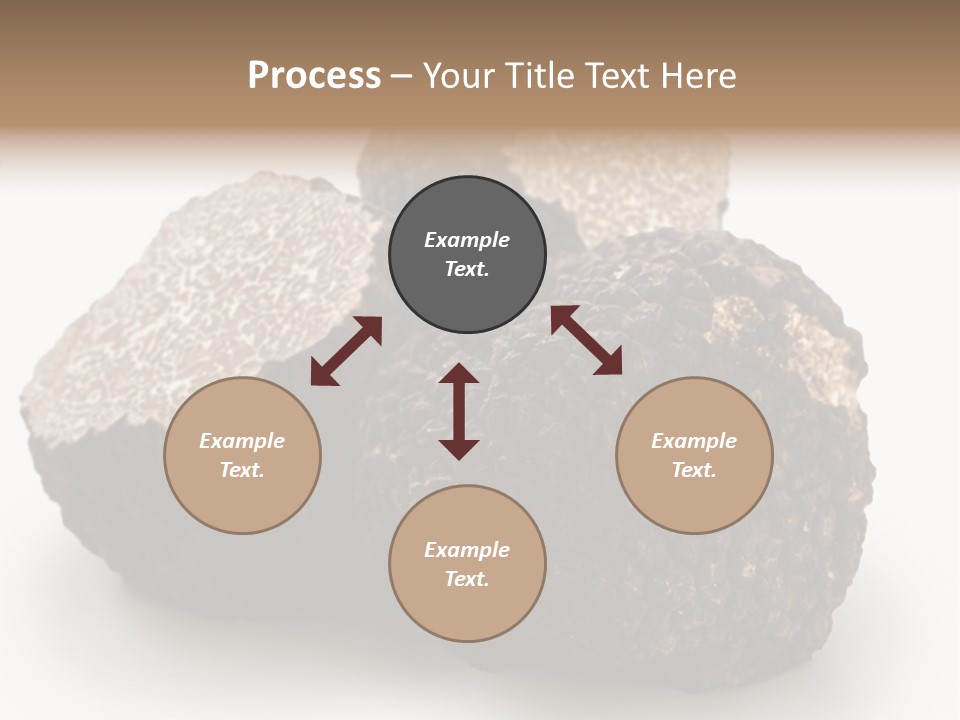 Fungus Edible Isolated PowerPoint Template