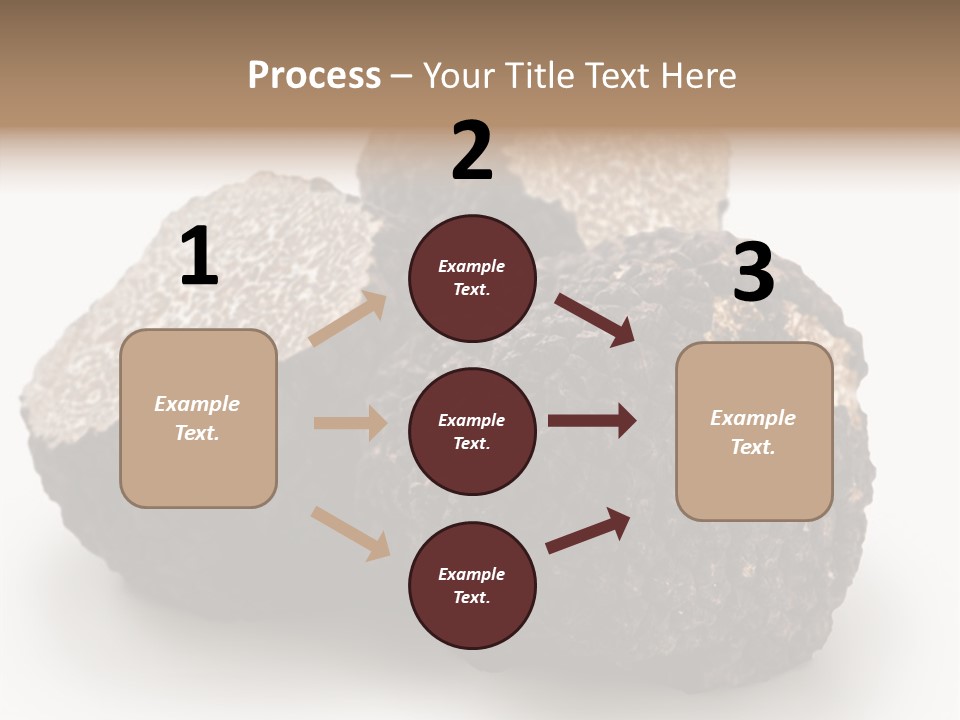 Fungus Edible Isolated PowerPoint Template