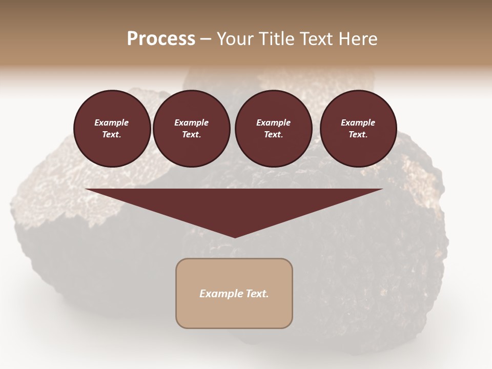 Fungus Edible Isolated PowerPoint Template