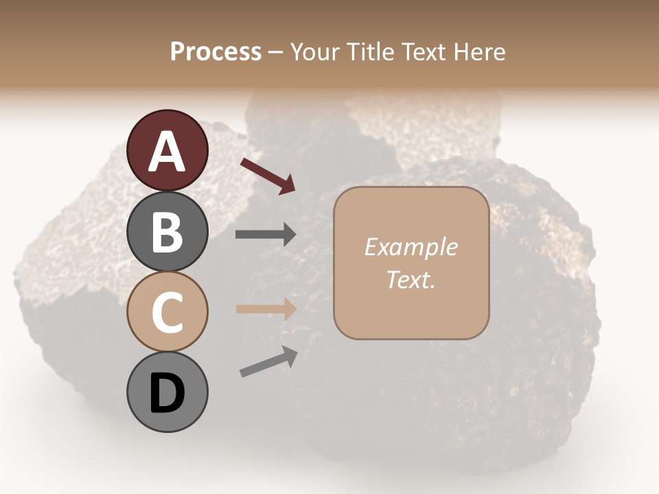 Fungus Edible Isolated PowerPoint Template