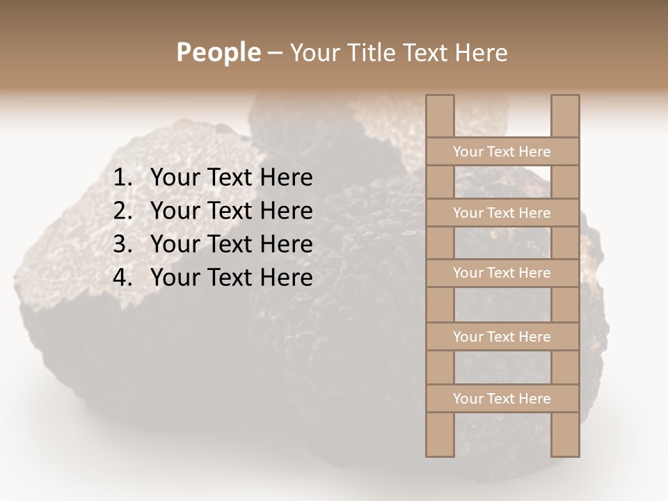 Fungus Edible Isolated PowerPoint Template