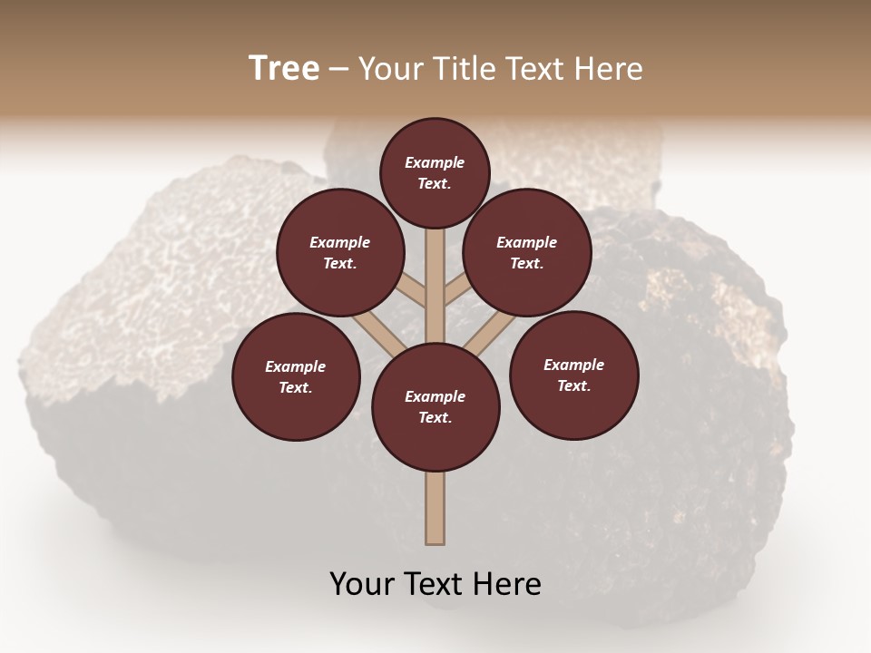 Fungus Edible Isolated PowerPoint Template