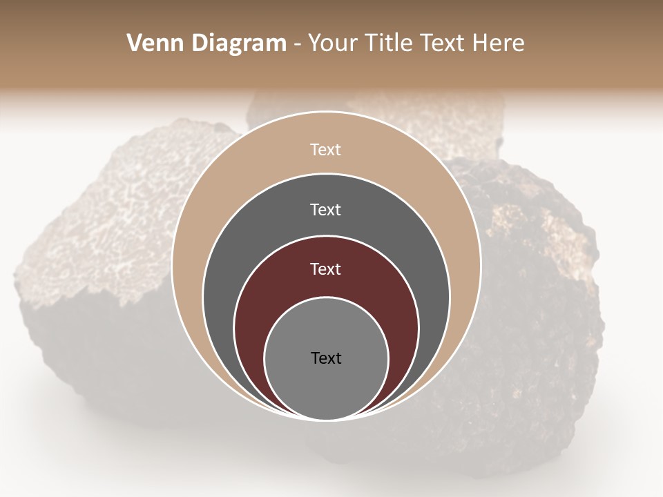 Fungus Edible Isolated PowerPoint Template